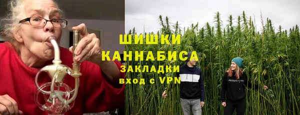 молекула духа Бородино